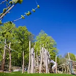 Bernhard Im Bayerischen Wald