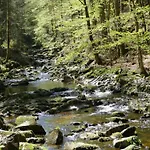 Bernhard Im Bayerischen Wald Apartamento