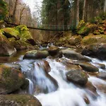 Bernhard Im Bayerischen Wald *