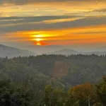 Bernhard Im Bayerischen Wald
