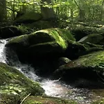 Bernhard Im Bayerischen Wald Lejlighed