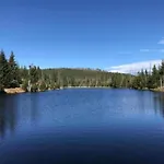 Bernhard Im Bayerischen Wald *