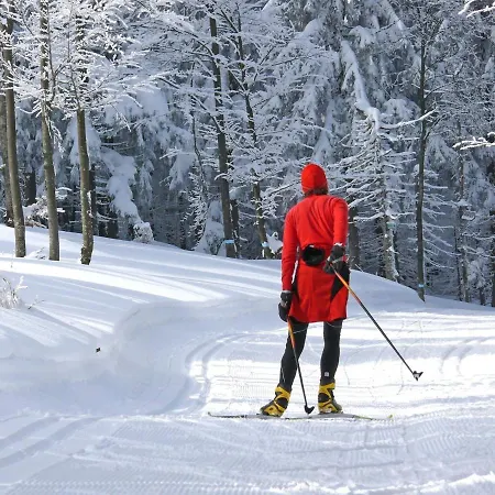 Flat Bernhard In The Bavarian Forest Daire Freyung