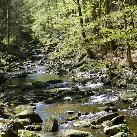 Flat Bernhard In The Bavarian Forest Daire