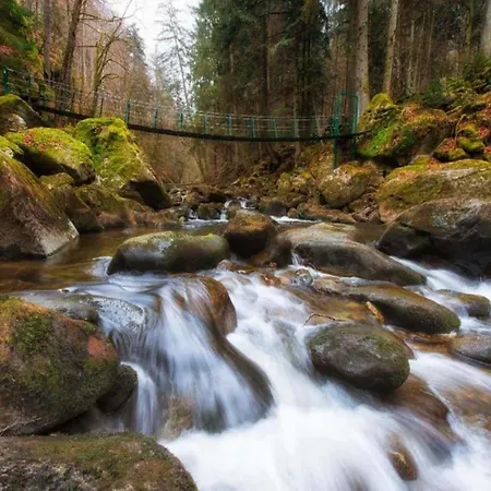 Bernhard Im Bayerischen Wald *