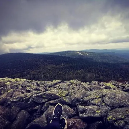 Flat Bernhard In The Bavarian Forest * Freyung