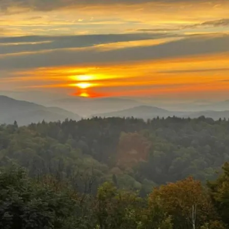 Flat Bernhard In The Bavarian Forest