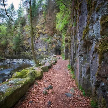 Flat Bernhard In The Bavarian Forest * Freyung