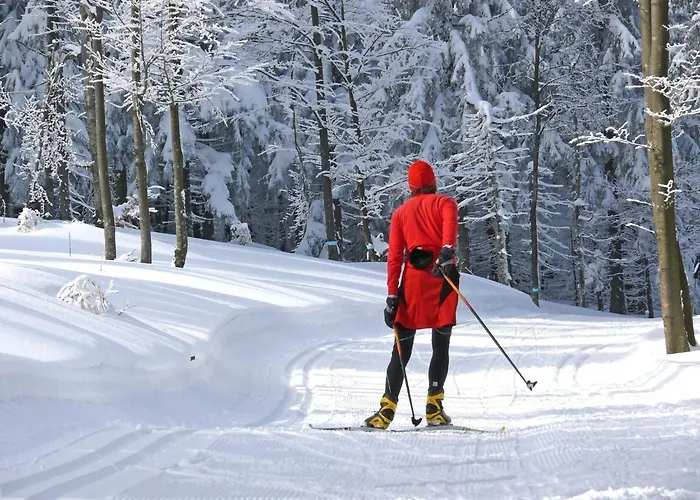 Bernhard Im Bayerischen Wald Lejlighed Freyung