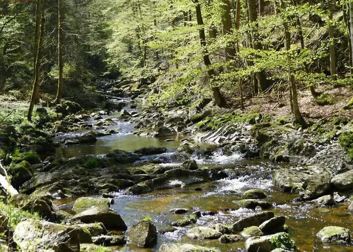 Bernhard Im Bayerischen Wald Lejlighed