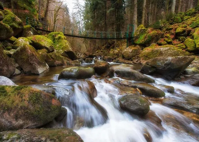 Bernhard Im Bayerischen Wald *