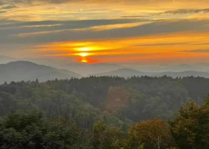 Bernhard Im Bayerischen Wald