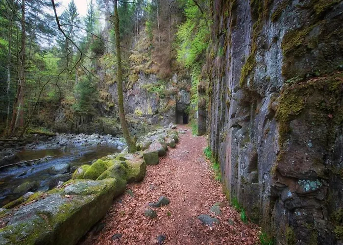 Bernhard Im Bayerischen Wald * Freyung
