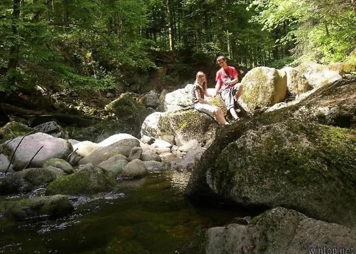 Bernhard Im Bayerischen Wald Lejlighed Freyung